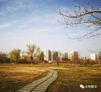 威秋雨和果小果什么关系(果小果本人照片)
